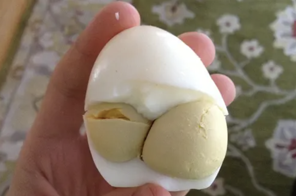 Vaječný žĺtok